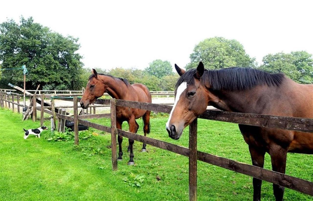 Little Rushbrook Cottages Tanworth الغرفة الصورة